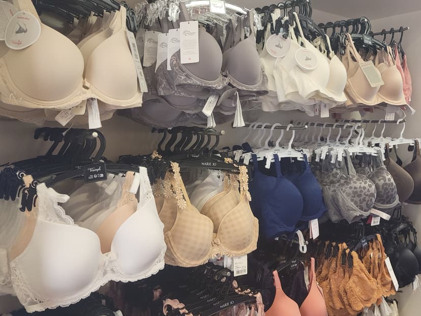 Mixture of Bras on the shelves at Sarah Jayne Lingerie shop